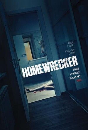 Homewrecker 2019 Dub in Hindi full movie download